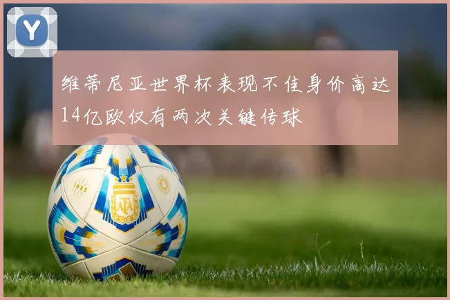 维蒂尼亚世界杯表现不佳身价高达14亿欧仅有两次关键传球